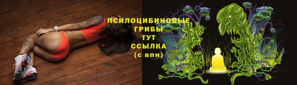 молекула духа Покачи